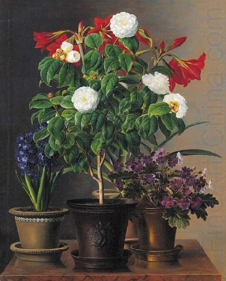 Johan Laurentz Jensen Camelias, amaryllis, hyacinth and violets in ornamental pots on a marble ledge china oil painting image